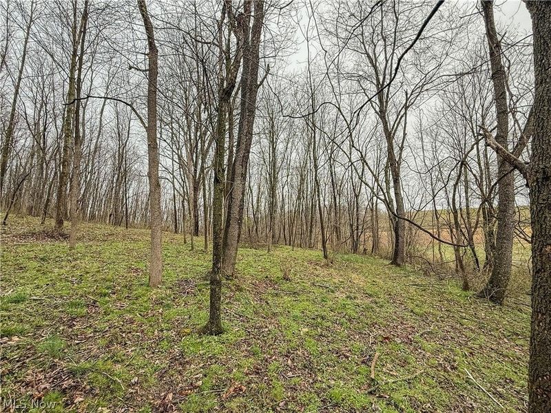 Buck Hill Road , Frazeysburg, OH 43822 Photo 12