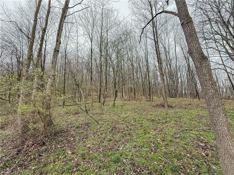 Buck Hill Road , Frazeysburg, OH 43822 Photo 13