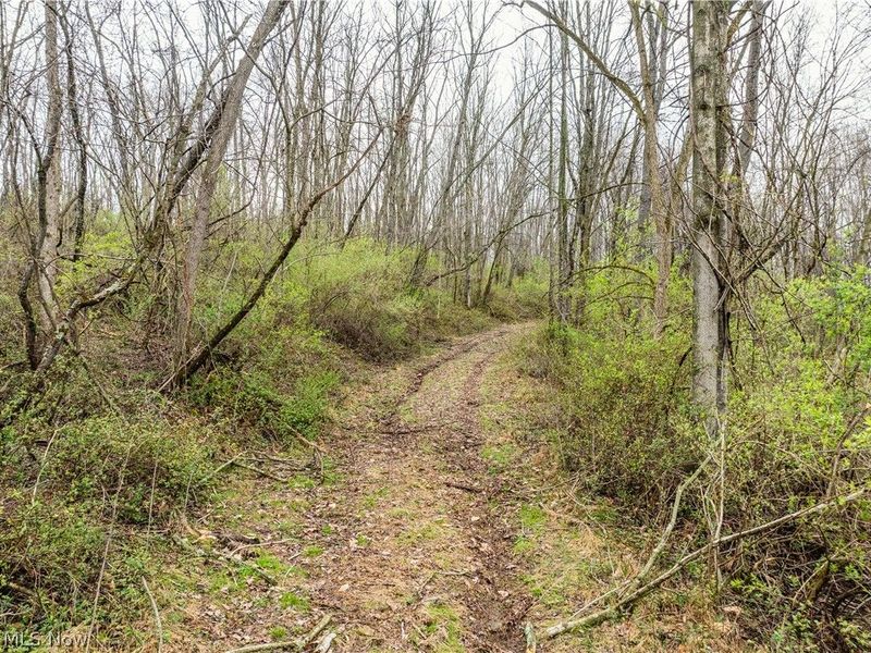 Buck Hill Road , Frazeysburg, OH 43822 Photo 16