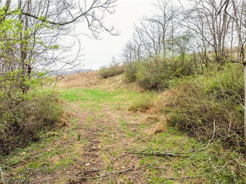 Buck Hill Road , Frazeysburg, OH 43822 Photo 17