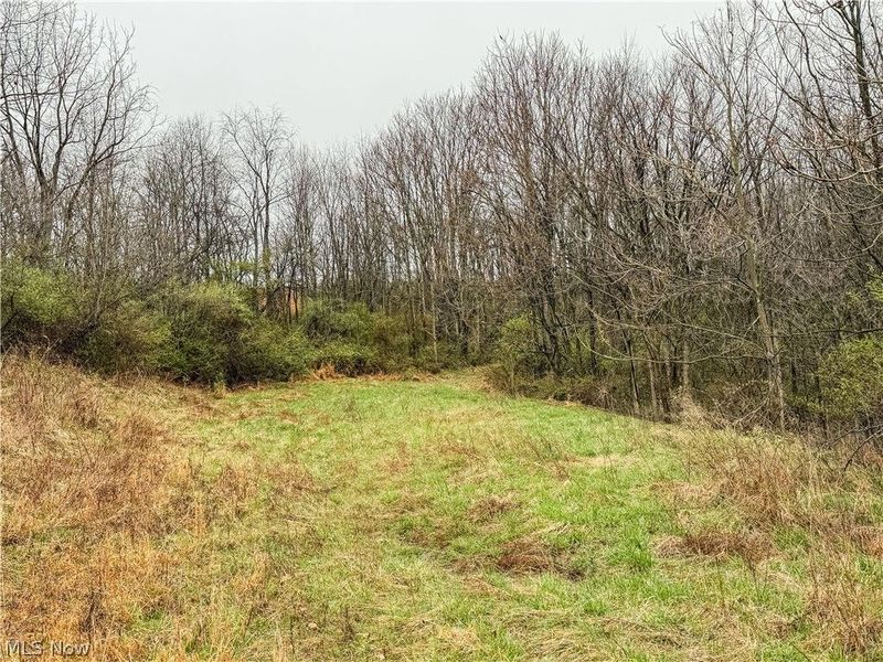 Buck Hill Road , Frazeysburg, OH 43822 Photo 2