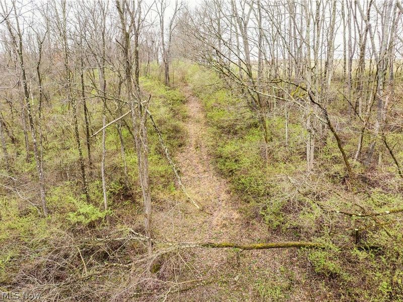 Buck Hill Road , Frazeysburg, OH 43822 Photo 20