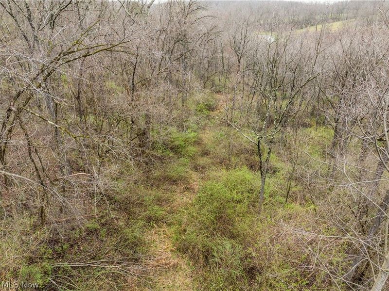 Buck Hill Road , Frazeysburg, OH 43822 Photo 21