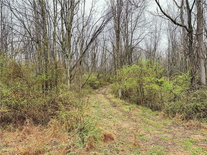 Buck Hill Road , Frazeysburg, OH 43822 Photo 3