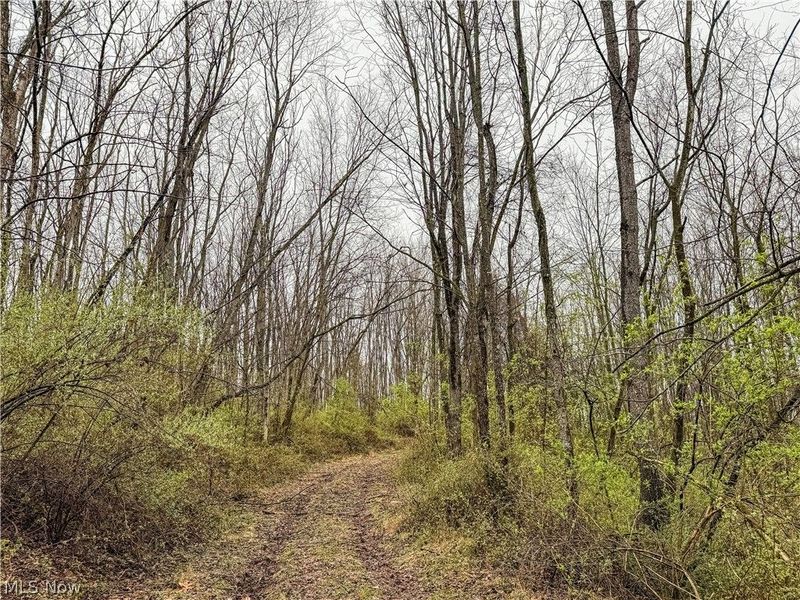 Buck Hill Road , Frazeysburg, OH 43822 Photo 4