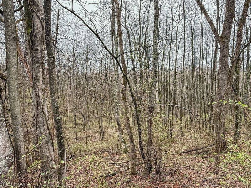 Buck Hill Road , Frazeysburg, OH 43822 Photo 5