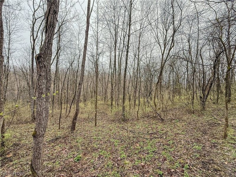 Buck Hill Road , Frazeysburg, OH 43822 Photo 6