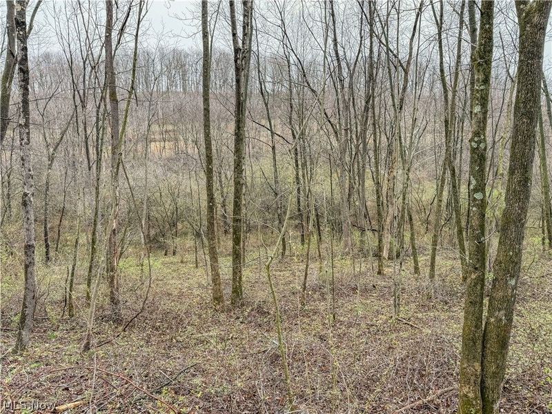 Buck Hill Road , Frazeysburg, OH 43822 Photo 7