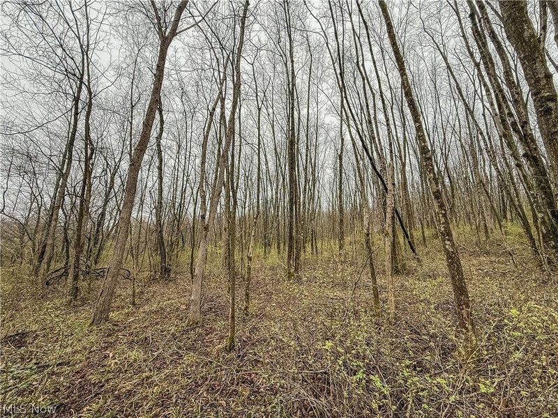 Buck Hill Road , Frazeysburg, OH 43822 Photo 8