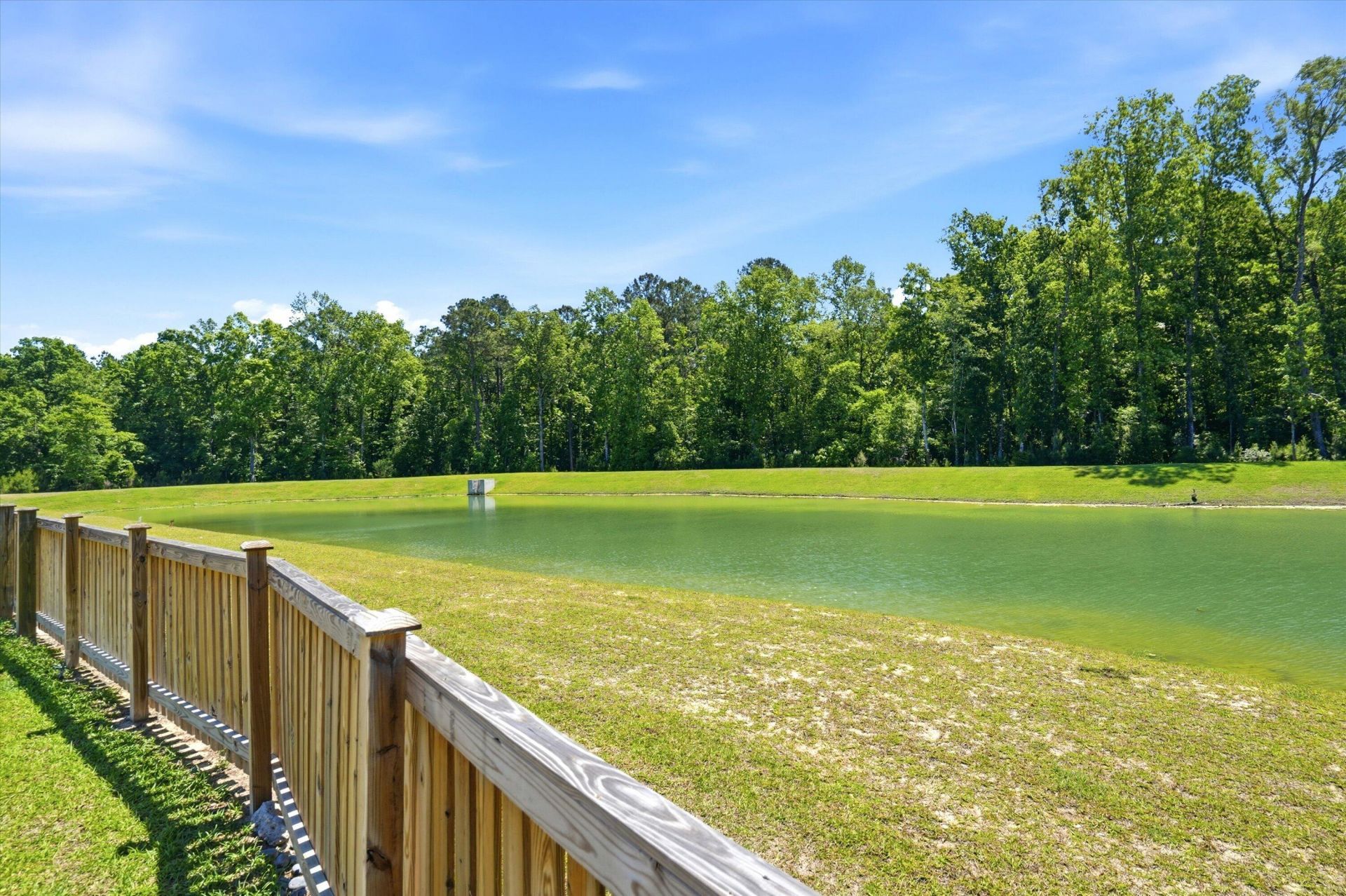 155 Cloverleaf Street Photo 3