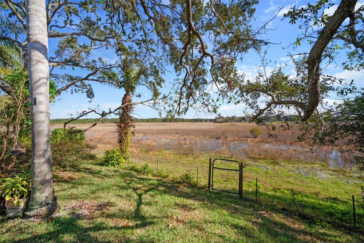 1472 Ivydale Road , Spring Hill, FL 34606 Photo