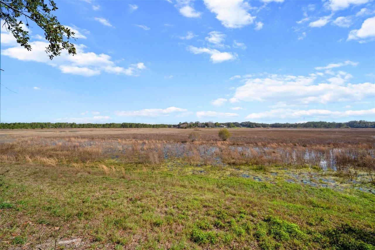 1472 Ivydale Road , Spring Hill, FL 34606 Photo