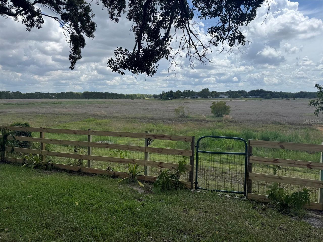 1472 Ivydale Road, Spring Hill, FL 34606 Photo
