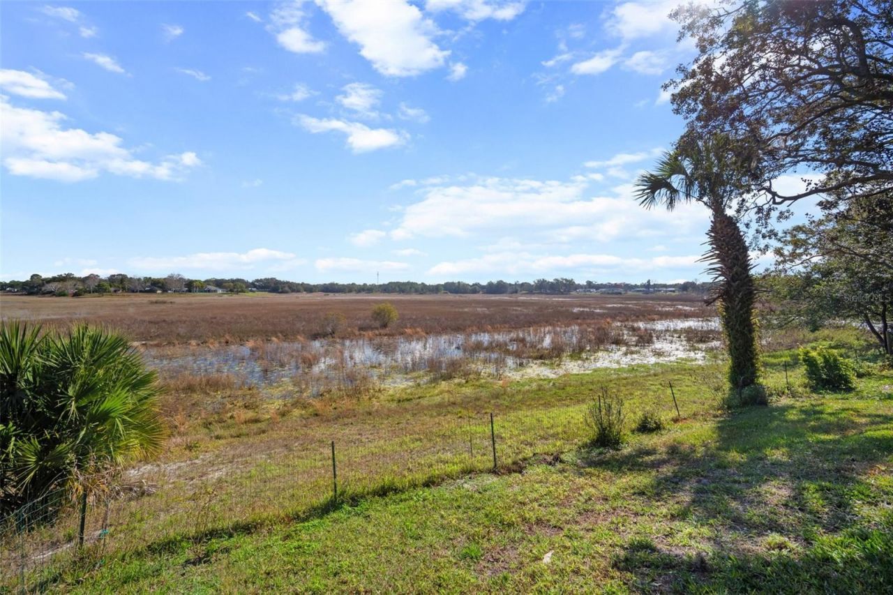 1472 Ivydale Road , Spring Hill, FL 34606 Photo