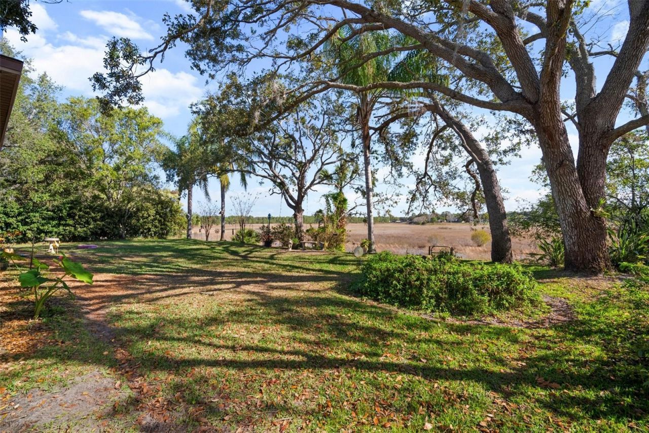 1472 Ivydale Road , Spring Hill, FL 34606 Photo