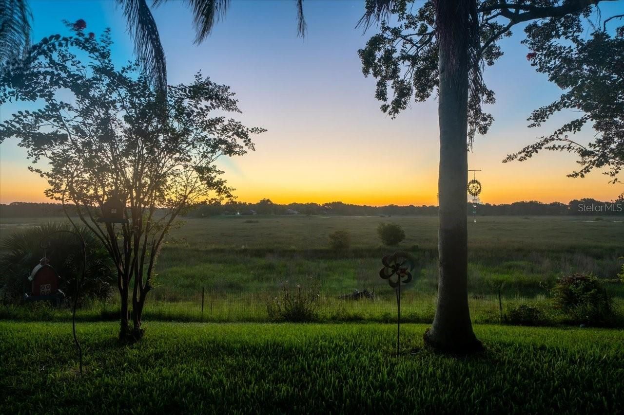 1472 Ivydale Road , Spring Hill, FL 34606 Photo