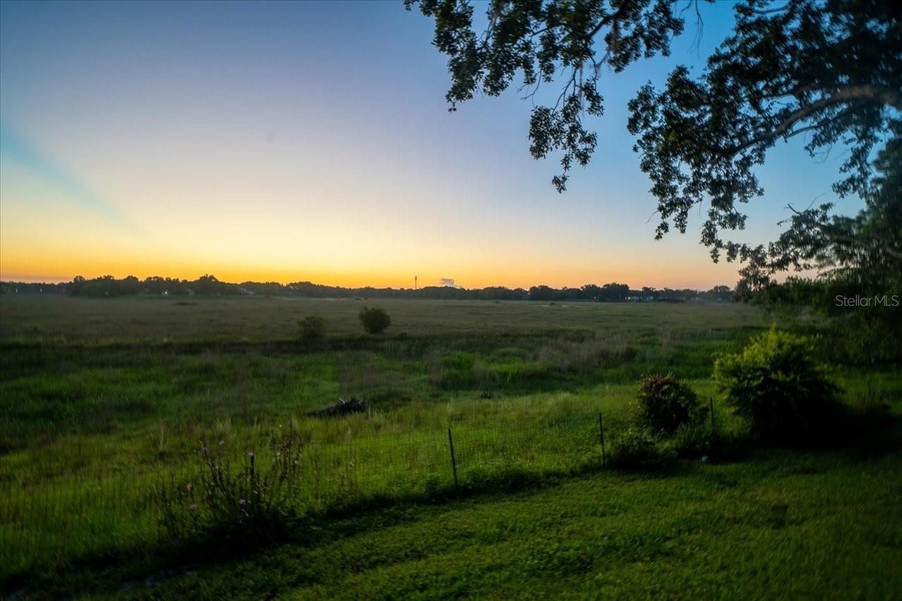 1472 Ivydale Road , Spring Hill, FL 34606 Photo