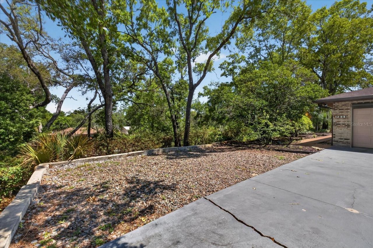 7038 San Jose Loop , New Port Richey, FL 34655 Photo