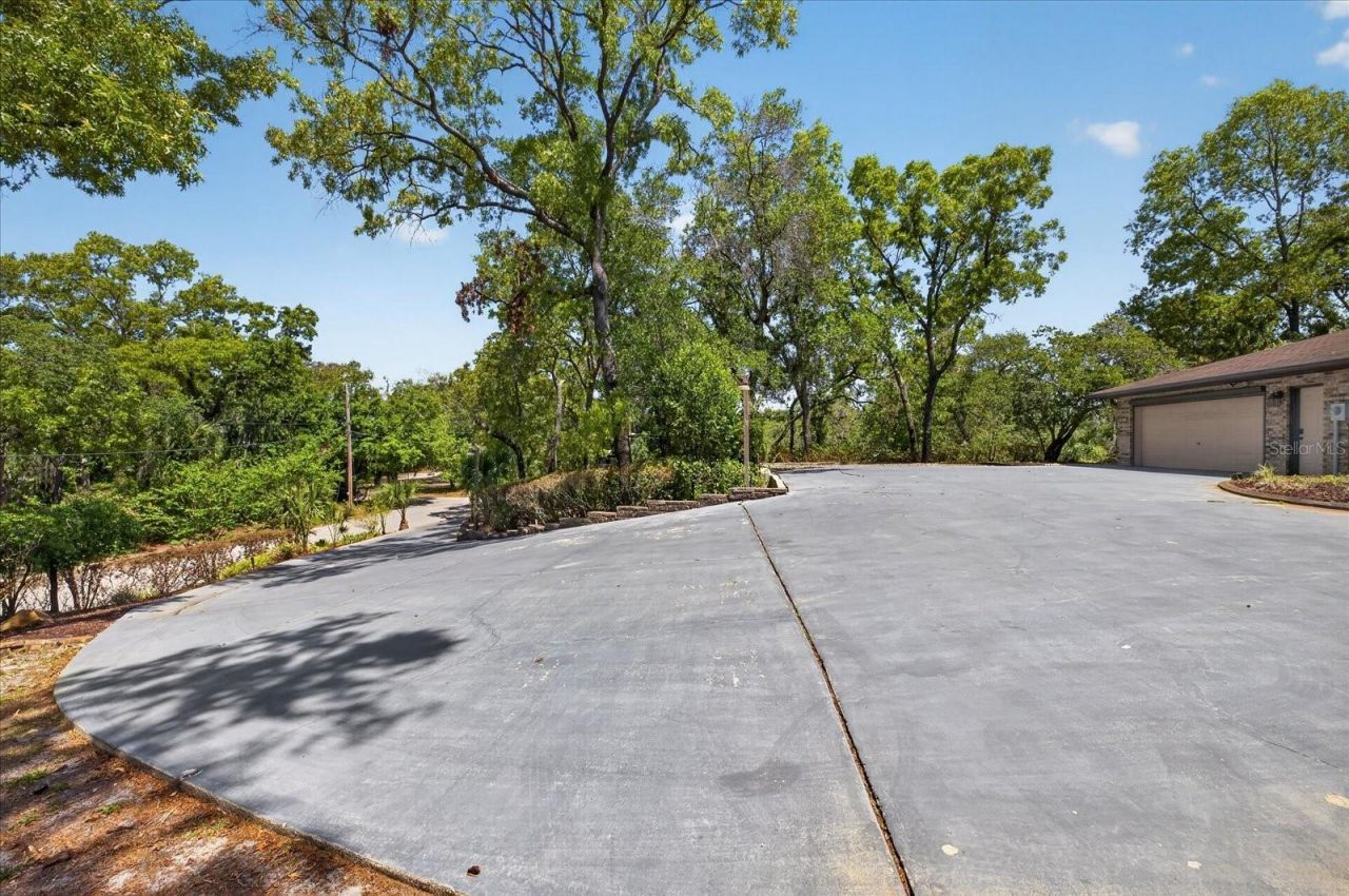 7038 San Jose Loop , New Port Richey, FL 34655 Photo