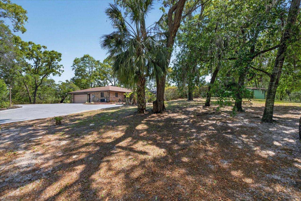 7038 San Jose Loop , New Port Richey, FL 34655 Photo