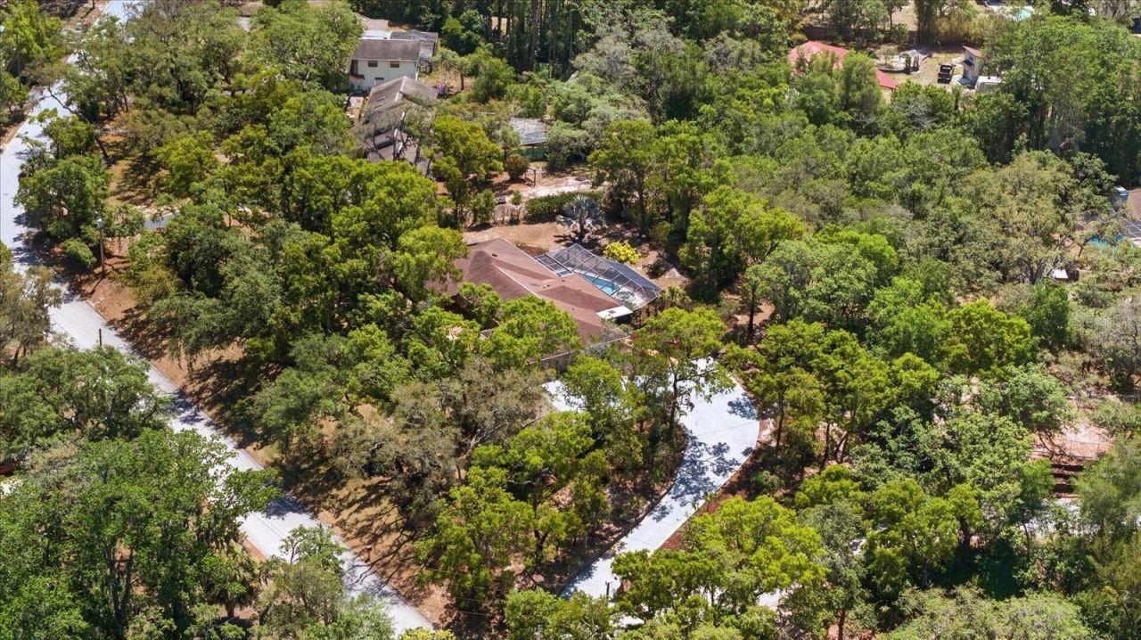 7038 San Jose Loop , New Port Richey, FL 34655 Photo