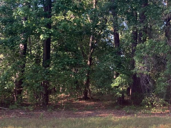 134 Legacy Woods Drive , Wallace, NC 28466