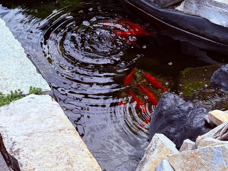 3649 Watt Road, Columbus, OH 43230 Photo 27