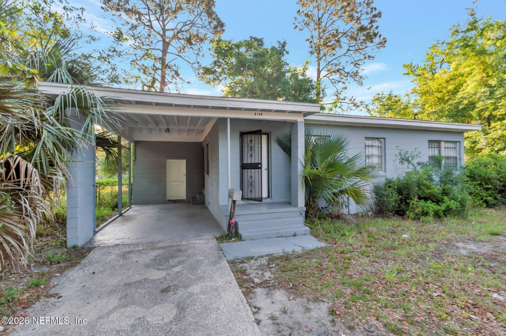 6109 Strawflower Place, Jacksonville, FL 32209 Main Photo