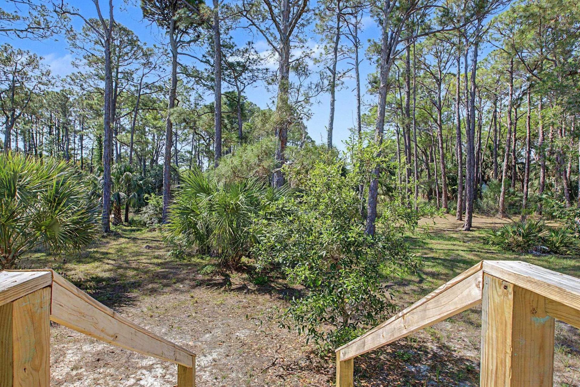 214 Harbor Circle, Alligator Point, FL 32346 Photo