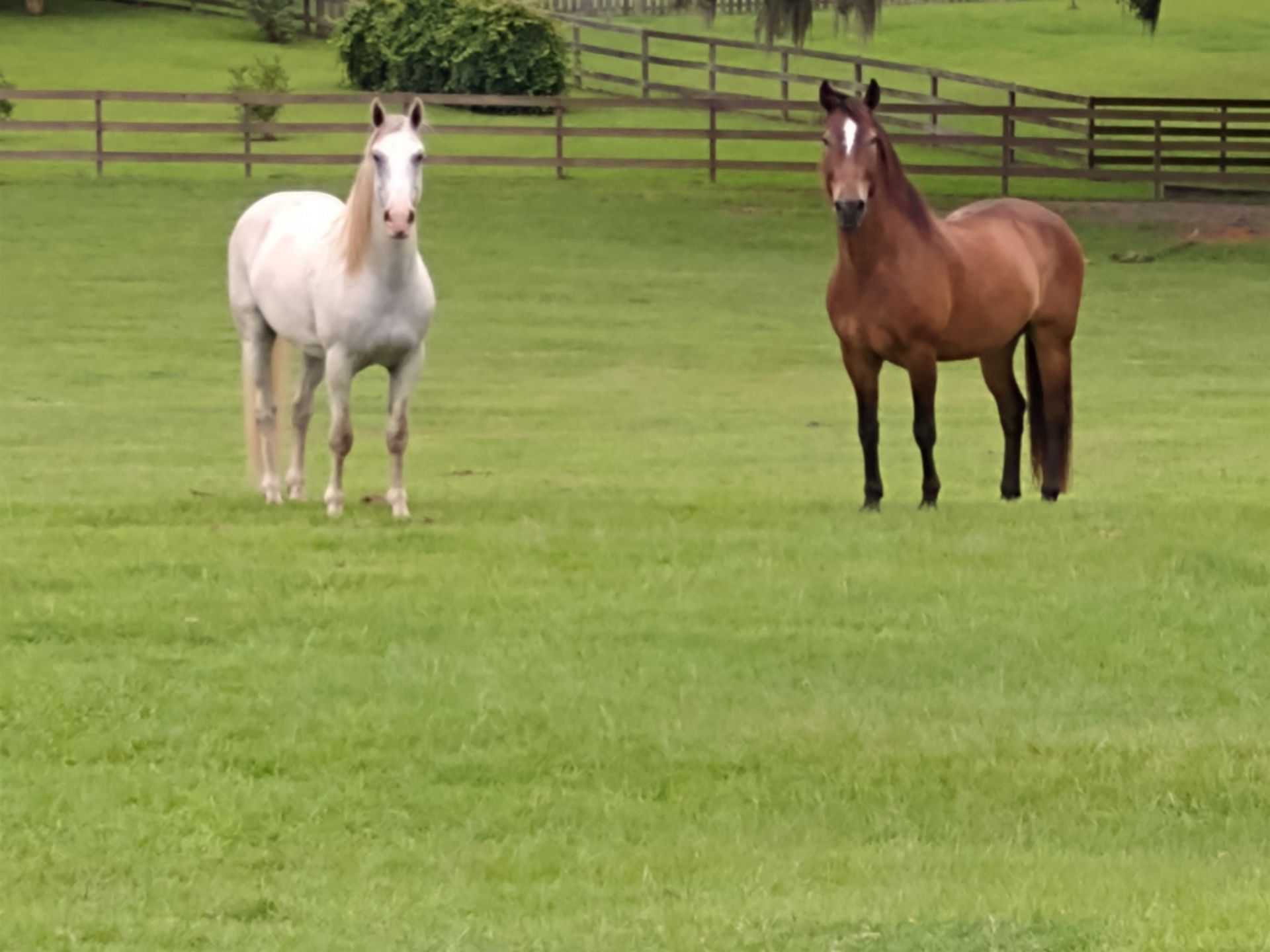 925 Hiawatha Farms Road , Monticello, FL 32344 Photo