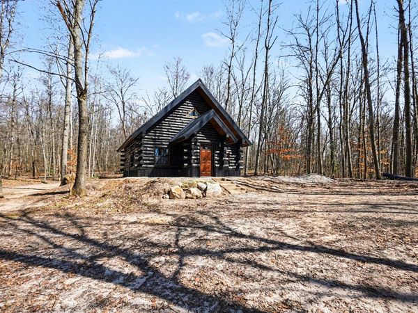 10338 Alpine Drive, Reed City, MI 49677