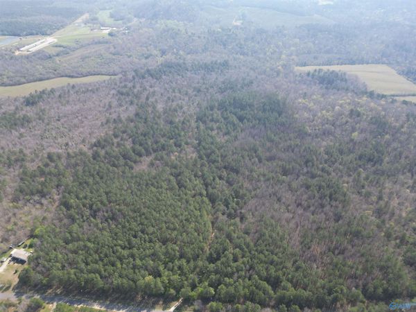 80 +/- Acres Pine Ridge Road, Wellington, AL 36279