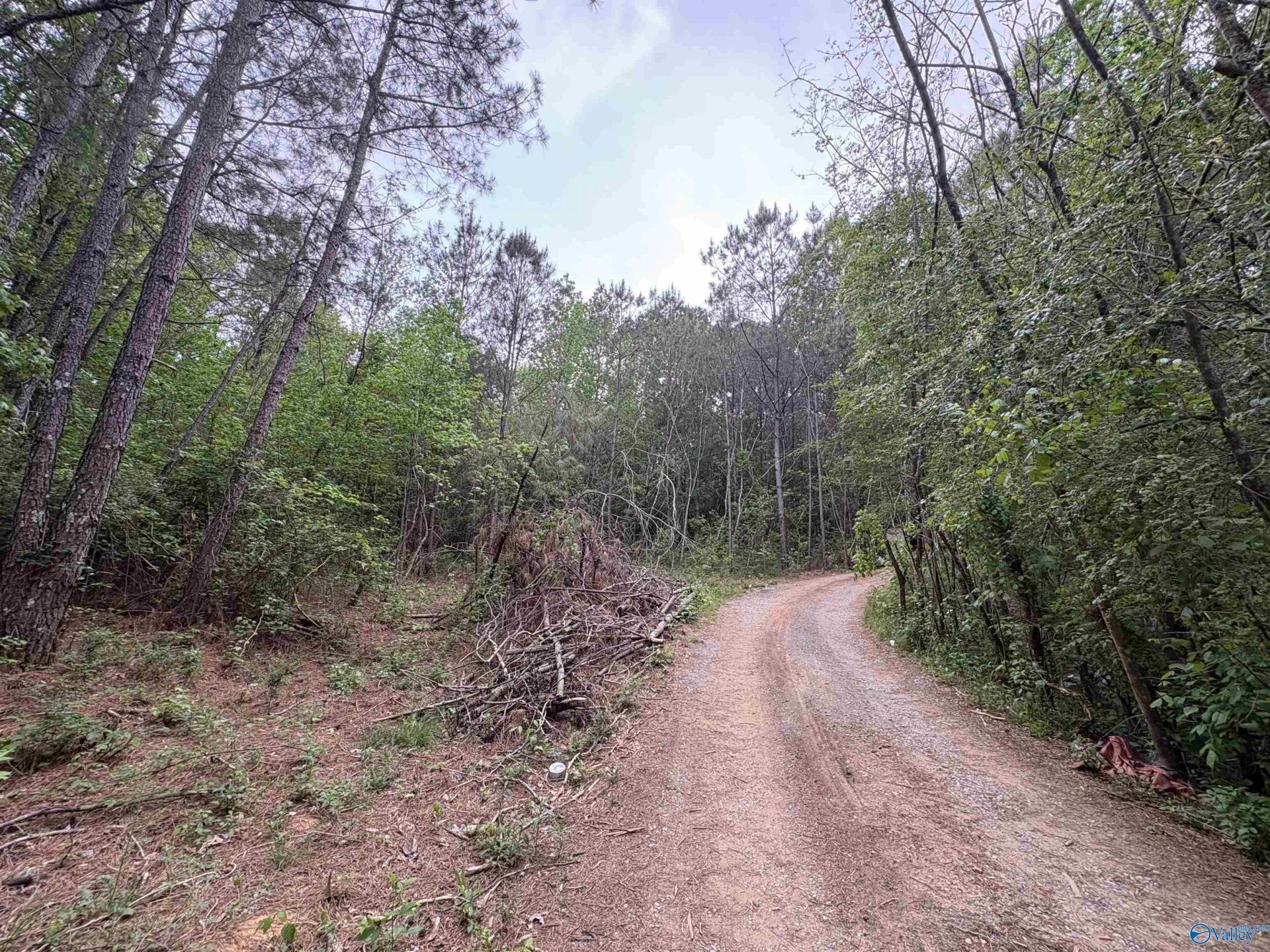 Lot 1 Wilhite Road, Falkville, AL 35622 Main Photo
