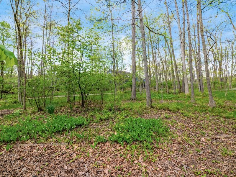 8867 Belisle Court, Dublin, OH 43017 Photo 34