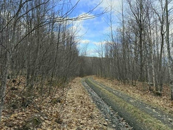 Lot 3-5 Coffin Road, Industry, ME 04938