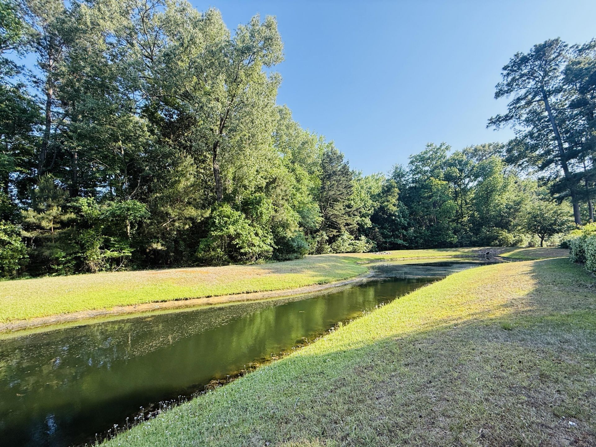 1439 Roustabout Way Photo 30