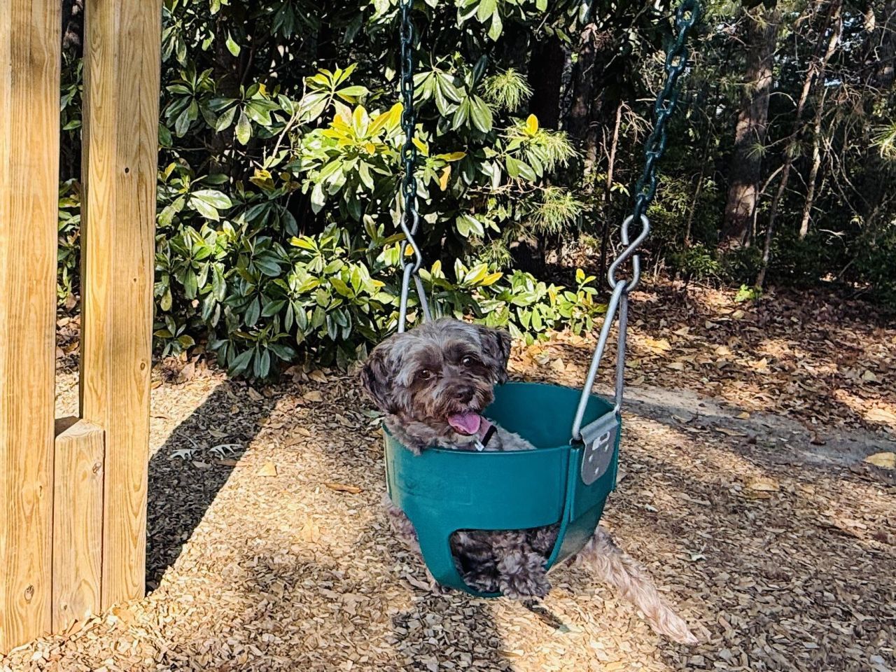 1439 Roustabout Way Photo 65