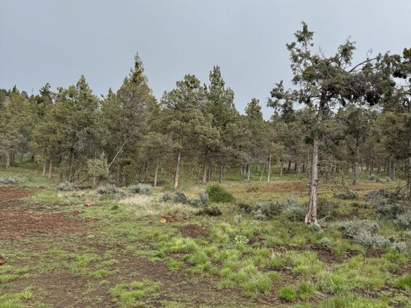 1129 Vine Maple Drive, Klamath Falls, OR 97601