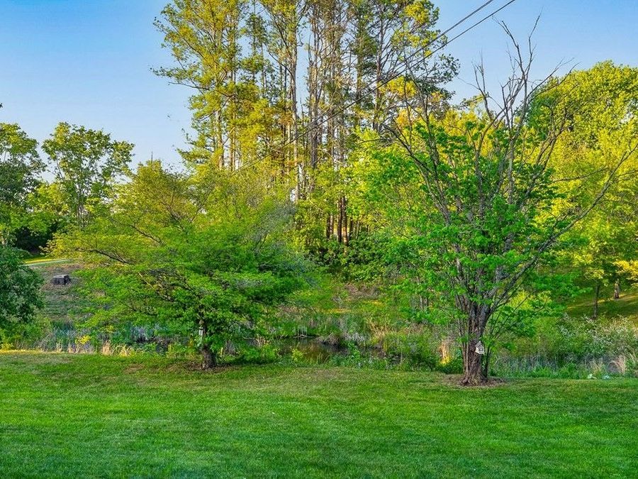 Property Image 57