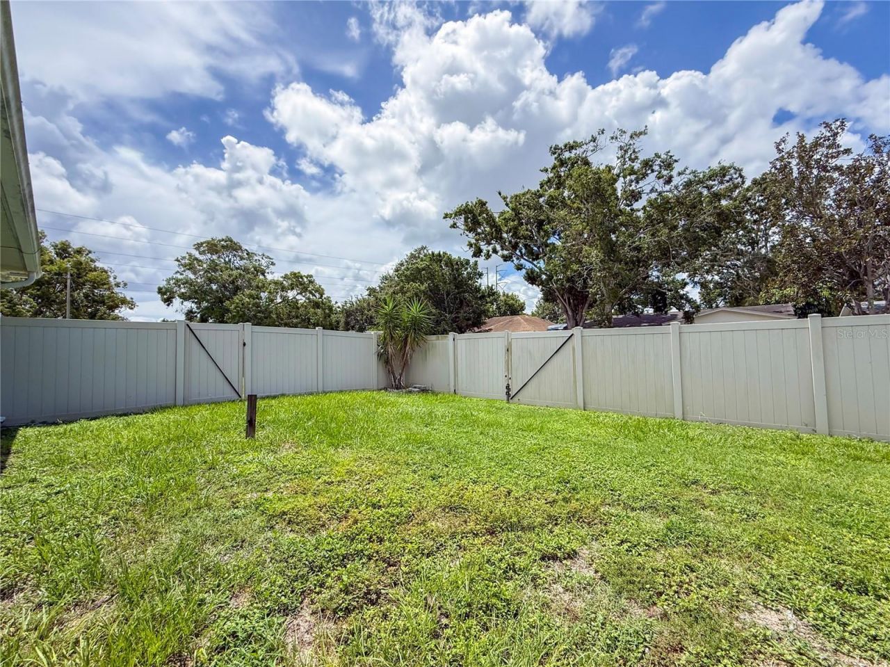 29708 69th Street N, Clearwater, FL 33761 Photo