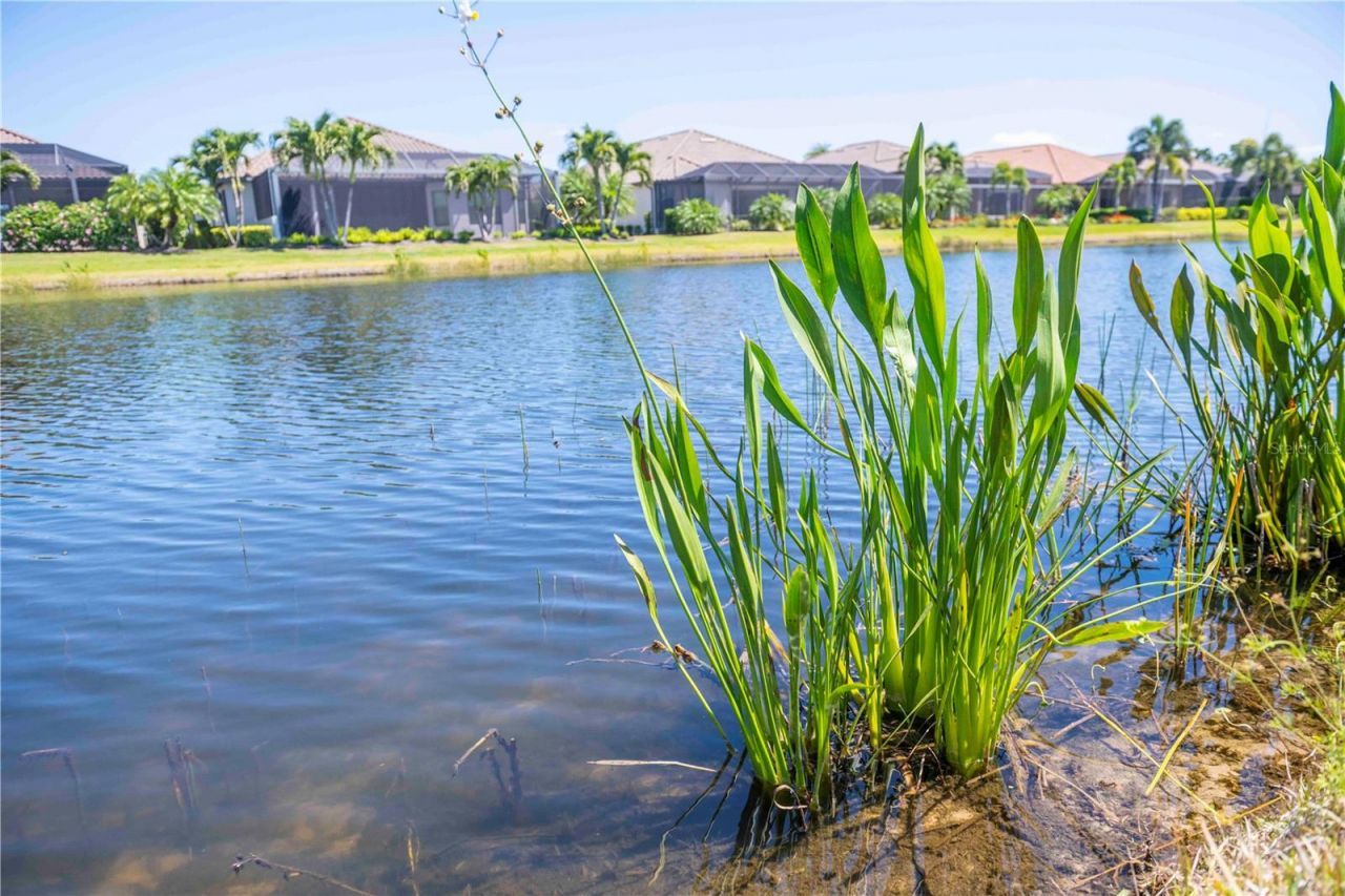 13119 Prima Drive, Lakewood Ranch, FL 34211 Photo