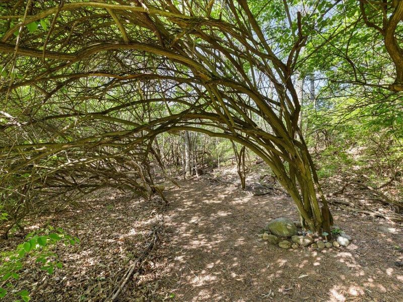 841 Willow Road, Springfield, OH 45502 Photo 56