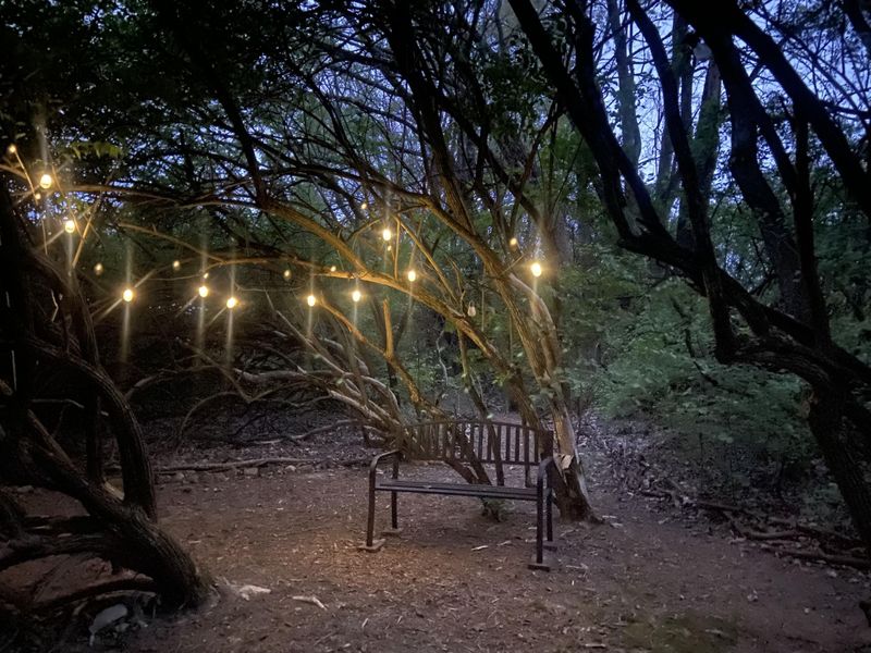 841 Willow Road, Springfield, OH 45502 Photo 57