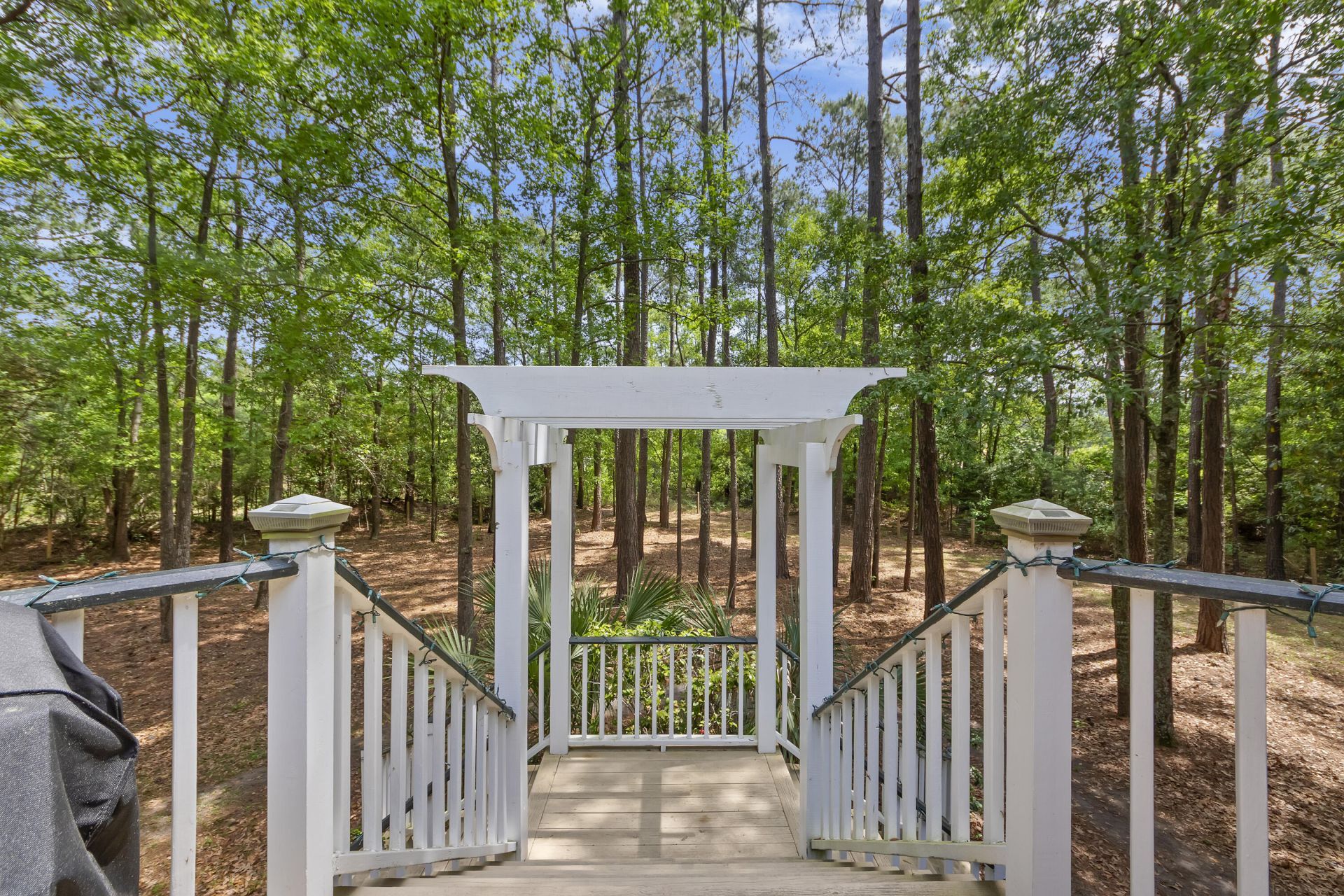 2595 Bohicket Drive Photo 4