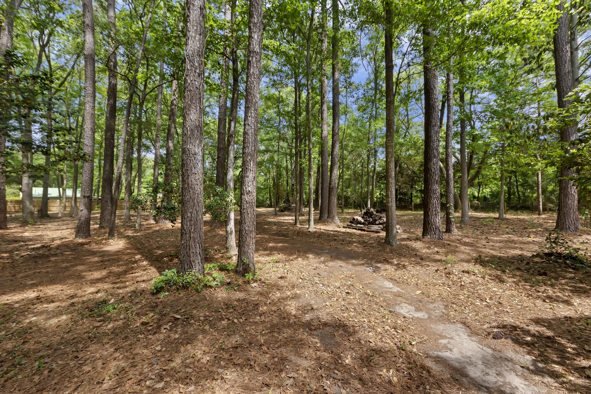 2595 Bohicket Drive Photo 53