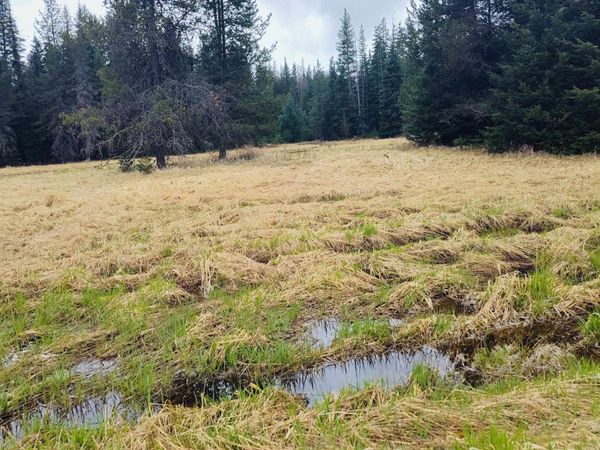 1101 Larch Ln, Cusick, WA 99119