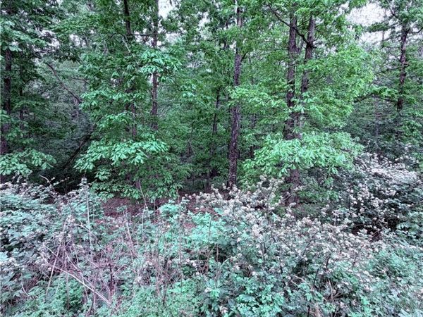 Lot 31 Dickenshire Drive, Bella Vista, AR 72714