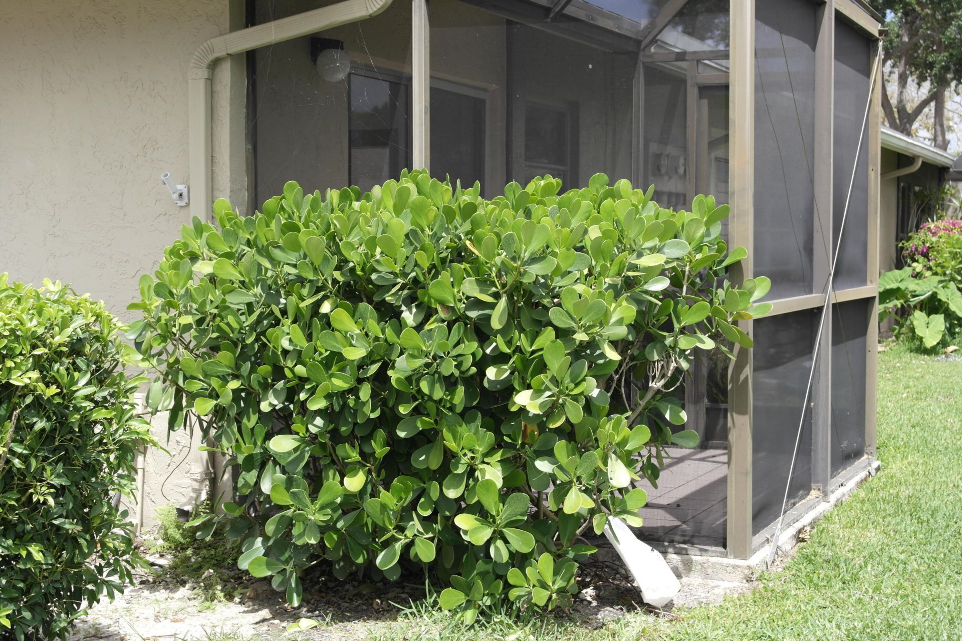 18890 Candlewick Drive, Unit B, Boca Raton, FL 33496 Photo