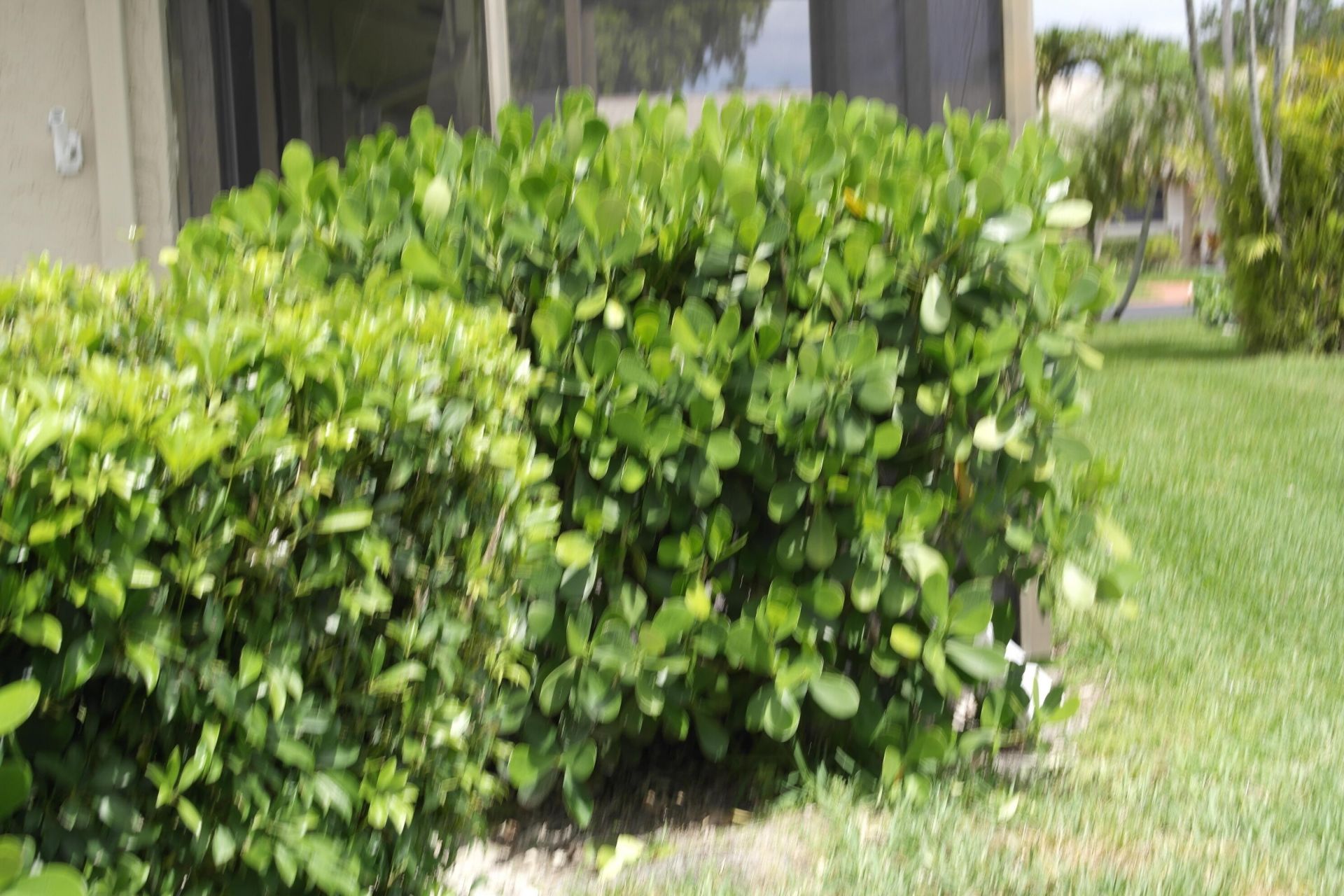 18890 Candlewick Drive, Unit B, Boca Raton, FL 33496 Photo