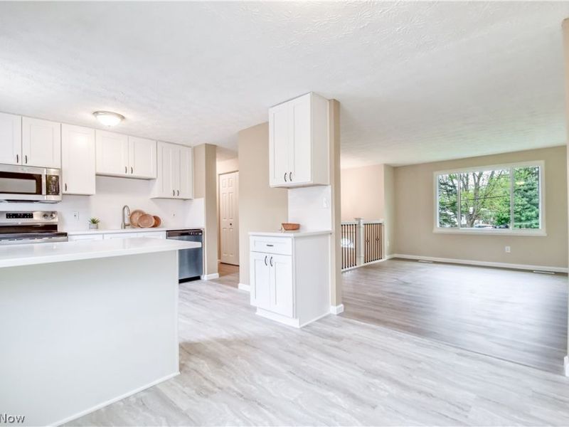 6996 Roe Boulevard , Madison, OH 44057 Photo 8